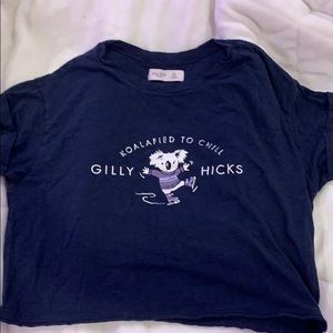 Gilly hicks crop top